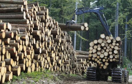 Slovenski žagarji opozarjajo na pomanjkanje lesa