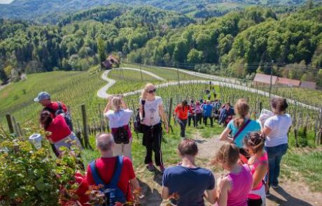 Svečinske gorice: Srce, ki bi lahko utripalo močneje