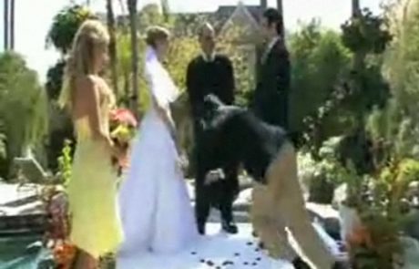 VIDEO: Najbolj nerodna priča na svetu pokvari poroko