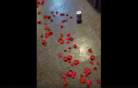 Video dneva: Tako je videti popoln valentinov zmenek vsakega moškega!