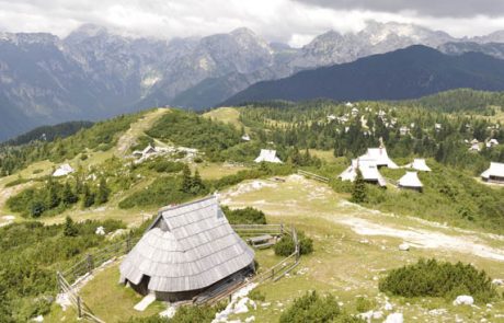 Pod Veliko planino bosta ovce pasla tudi Nuša Derenda in Frenk Nova