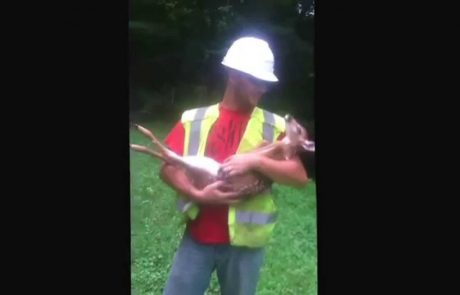 Video: Reakcija tega bambija na žgečkanje vas bo presenetila!