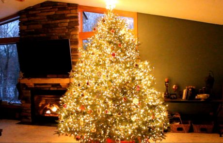 Videti je kot povsem običajno božično drevo, vse dokler ne vklopite lučk (video)