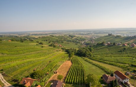 Prekmurje obetavna tržna niša za novo obliko turizma