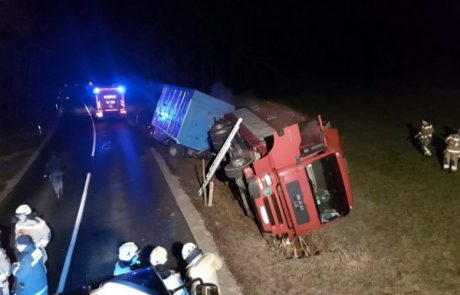 FOTO: Vozilo zdrsnilo z vozišča, v nesreči poginilo pet krav