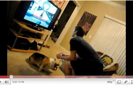 VIDEO: Zakaj ni dobro igrati Wii-ja v majhni sobi?
