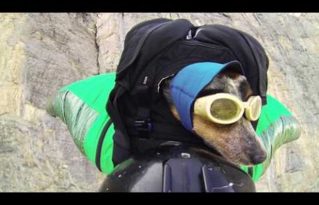 VIDEO: Poglejte, kako je prva psička na svetu skočila s padalom!