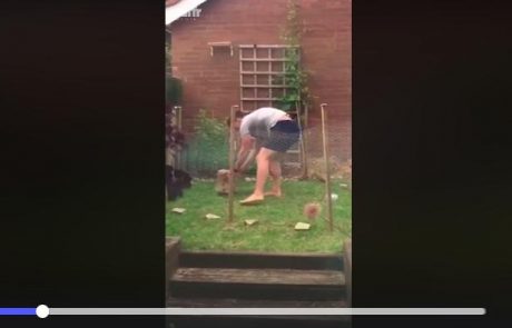 Video dneva: Fant, ki lovi malega zajčka, je nekaj najbolj smešnega