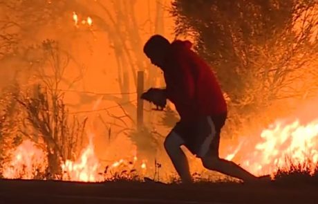 Video dneva: Moški se je podal v ogenj, da bi rešil zajca